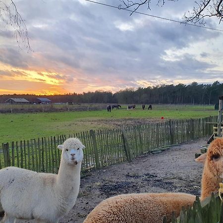 Luxe Finse Kota Met Jacuzzi En Saunabarrel De Zandhoef Villa Eersel Esterno foto